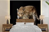 Behang - Fotobehang Luipaard - Vacht - Wild - Breedte 260 cm x hoogte 260 cm