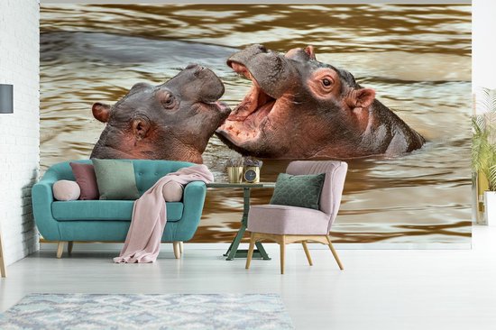Papier peint - Papier peint Papier peint photo Hippopotame - Animaux - Water - Largeur 395 cm x hauteur 220 cm