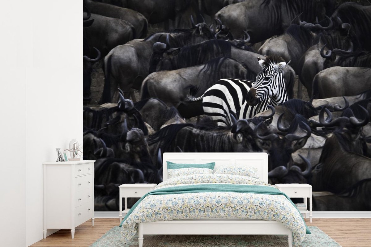 Behang - Fotobehang Zebra - Buffels - Bruin - Breedte 305 cm x hoogte 220 cm
