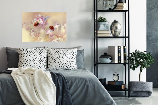 Affiche Deux coccinelles assises sur des fleurs d'hortensia - 60x40 cm