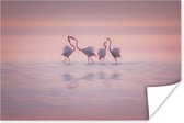 Poster Vier flamingo's staan in het water - 90x60 cm