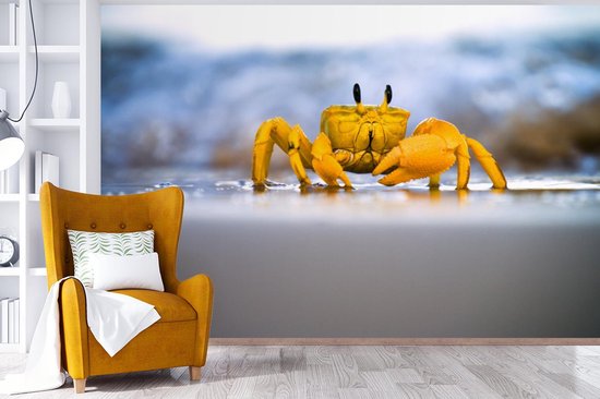 Papier peint photo peint photo vinyle - Crabe coloré sur le sable largeur 600 cm x hauteur 400 cm - Tirage photo sur papier peint (disponible en 7 tailles)