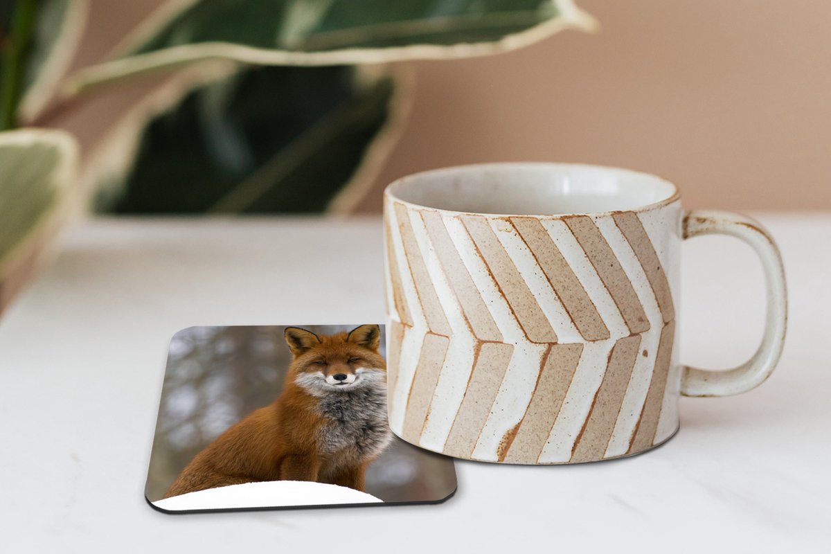 Onderzetters voor glazen - Vos - Bos - Rood - 10x10 cm - Glasonderzetters - 6 stuks