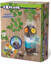 SES Planten terrarium