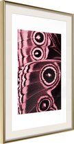 Poster Butterfly Wings 30x45