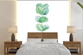 Behang - Fotobehang Waterverf - Eucalyptus - Plant - Breedte 350 cm x hoogte 350 cm