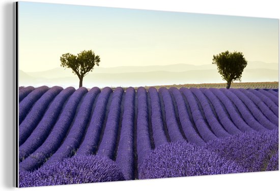 Décoration murale Métal - Peinture Aluminium Industriel - Lavande - Arbres - Fleurs - Nature - 80x40 cm - Dibond - Photo sur aluminium - Décoration murale industrielle - Pour le salon/chambre