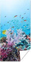 Poster Récif coloré et corail - 80x160 cm