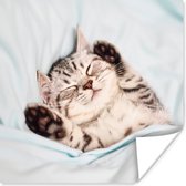 Poster Kitten - Bed - Poten - Meisjes - Kinderen - Jongens - Kind - 100x100 cm XXL