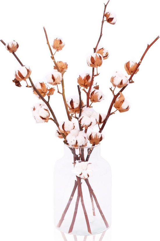 e-bloom | Katoenbollen Takken - ca. 60 cm
