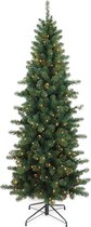 Wintervalley Trees Samson - Sapin de Noël artificiel avec éclairage LED - 210 cm