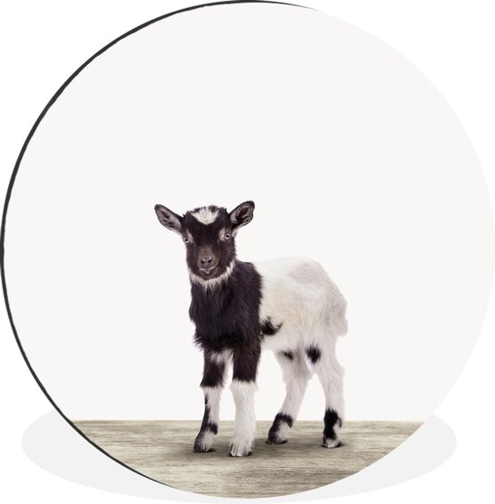 Cercle mural - Aluminium - Animaux - Chèvre - Zwart - Wit - ⌀ 60 cm