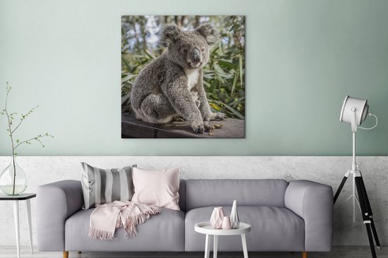 Tableau Toile Koala - Bois - Plantes - 90x90 cm - Décoration murale
