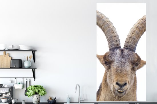 Affiche Capricorne - Animaux - Corne - 80x160 cm