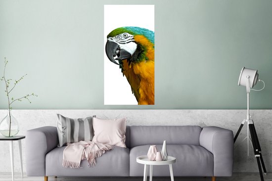 Affiche Perroquet - Vogel - Ressorts - Portrait - 60x120 cm