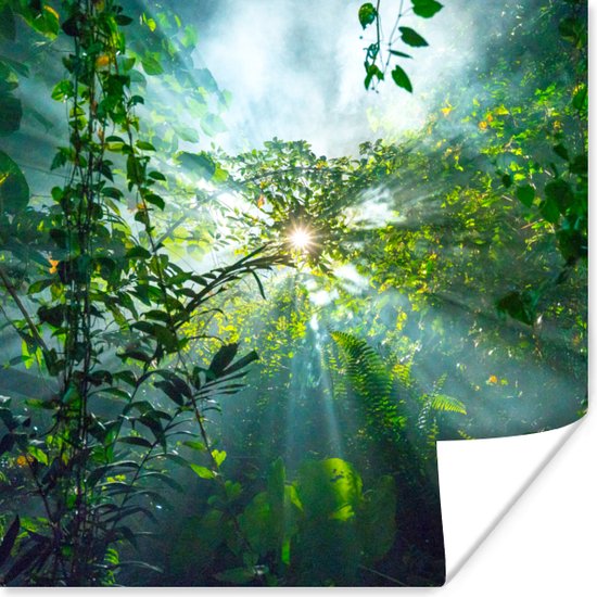 Poster Zonlicht schijnt op een grot in het regenwoud van Maleisië