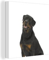 Canvas Schilderij Rottweiler op een witte achtergrond - 90x90 cm - Wanddecoratie