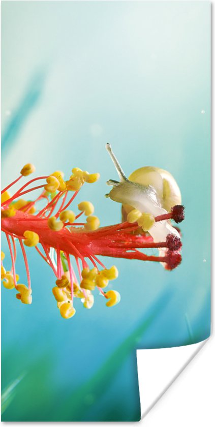 Affiche Escargot - Plante - Arbre - 75x150 cm