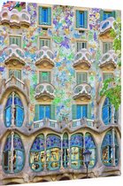 Het beroemde gevelhuis Casa Batlló van Gaudí in Barcelona - Foto op Dibond - 60 x 80 cm