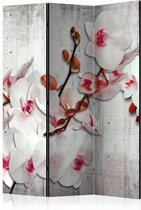 Vouwscherm - Orchidee op beton 135x172cm, gemonteerd geleverd (kamerscherm) dubbelzijdig geprint
