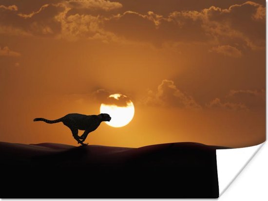 Silhouet rennende luipaard Poster 120x90 cm - Foto print op Poster (wanddecoratie woonkamer / slaapkamer) / Wilde dieren Poster