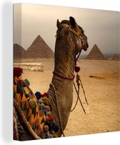 Canvas Schilderij Egypte - Kameel - Piramide - 20x20 cm - Wanddecoratie