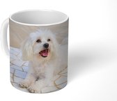 Mok - Koffiemok - Een Maltezer hond ligt op een pad - Mokken - 350 ML - Beker - Koffiemokken - Theemok