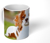 Mok - Een schattige Cavalier King Charles-spaniël ligt op het gras - 350 ML - Beker