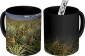 Magische Mok - Foto op Warmte Mok - Ananasplant - Lucht - Hawaii - 350 ML