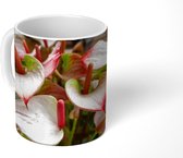 Mok - Lichtroze Anthurium in bloei - 350 ML - Beker