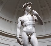 David, Michelangelo's meesterwerk in Florence - Fotobehang (in banen) - 350 x 260 cm