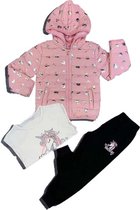 unicorn 3-delig outfit voor meisjes-jas met capuchon+broek+t-shirt-unicorn kleding- roze, 98/104 (3-4jaar)