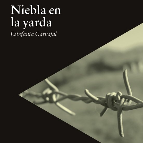 Niebla en la yarda - cover