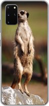 Geschikt voor Samsung Galaxy S20 Plus hoesje - Stokstaartje - Dier - Wild - Siliconen Telefoonhoesje