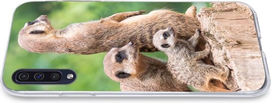 Telefoonhoesje Geschikt voor Samsung Galaxy A50 hoesje - Stokstaartjes - Boomstronk - Jong - Siliconen Telefoonhoesje Telefoonhoesje