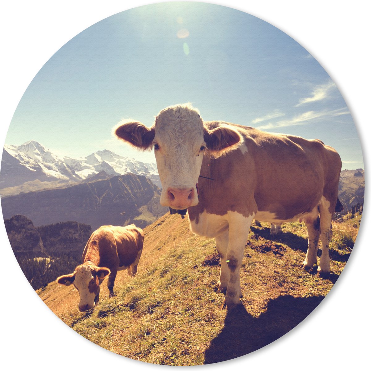Muismat rond 40x40 cm - Mousepad Koeien - Licht - Alpen - Ronde muismatten