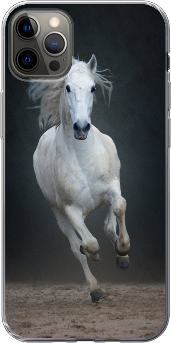 Telefoonhoesje Geschikt voor iPhone 13 Pro Max hoesje - Paard - Schimmel - Zand - Siliconen Telefoonhoesje Telefoonhoesje