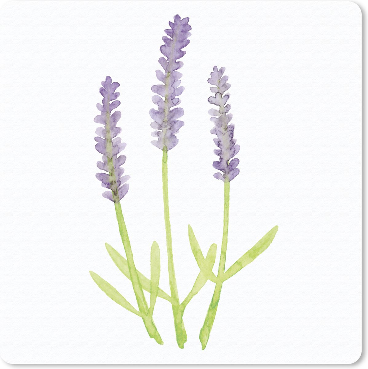 Muismat 30x30 cm - Mousepad Lavendel - Aquarel - Planten - Muismatten