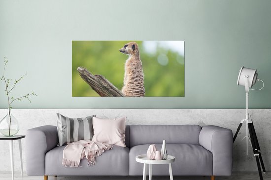 Wanddecoratie Metaal - Aluminium Schilderij Industrieel - Stokstaartje - Tak - Boom - 160x80 cm - Dibond - Foto op aluminium - Industriële muurdecoratie - Voor de woonkamer/slaapkamer