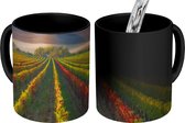 Magische Mok - Foto op Warmte Mok - Gekleurde wijngaard in de herfst - 350 ML