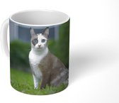 Mok - Kat - Siamees - Gras - 350 ML - Beker