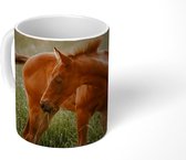 Mok - Koffiemok - Paard - Gras - Boom - Mokken - 350 ML - Beker - Koffiemokken - Theemok