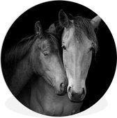 WallCircle - Wall Circle - Wall Circle Indoor - Hugging Horses - noir et blanc - 90x90 cm - Décoration murale - Peintures Ronds