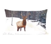 Sierkussen Cerf pour l'intérieur - Cerf dans la neige - 50x30 cm - Coussin intérieur rectangulaire en coton