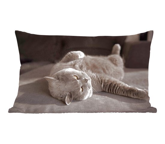 Sierkussen' intérieur Animal Day - Chat sur une chaise grise - 50x30 cm - Coussin intérieur rectangulaire en coton