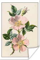 Affiche ancienne illustration d'un chien rose papier 60x90 cm - Tirage photo sur Poster (décoration murale salon / chambre) / Poster Fleurs