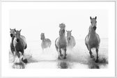 JUNIQE - Poster in kunststof lijst Galloping Through the Surf -30x45