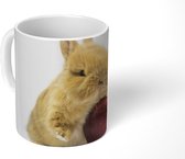 Mok - Konijn - Baby - Appel - 350 ML - Beker