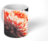 Mok - Chrysant met zwarte achtergrond - 350 ML - Beker