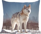 Sierkussen - Husky In De Sneeuw - Multicolor - 40 Cm X 40 Cm